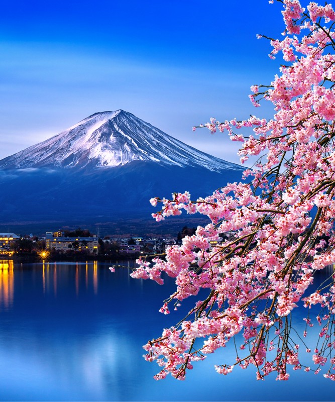 Japonya Sakura R�yas�: Japonya Bahar Turu